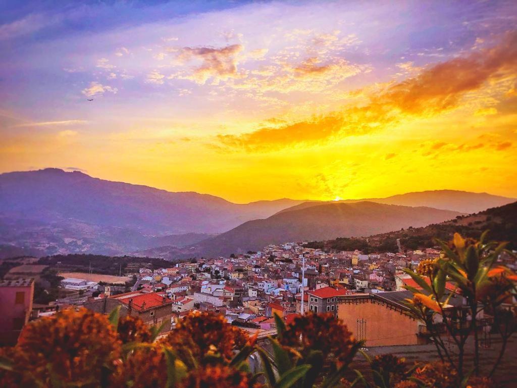 Orgosolo B&B Sardegna Εξωτερικό φωτογραφία
