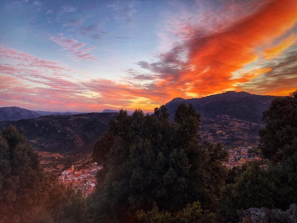 Orgosolo B&B Sardegna Εξωτερικό φωτογραφία