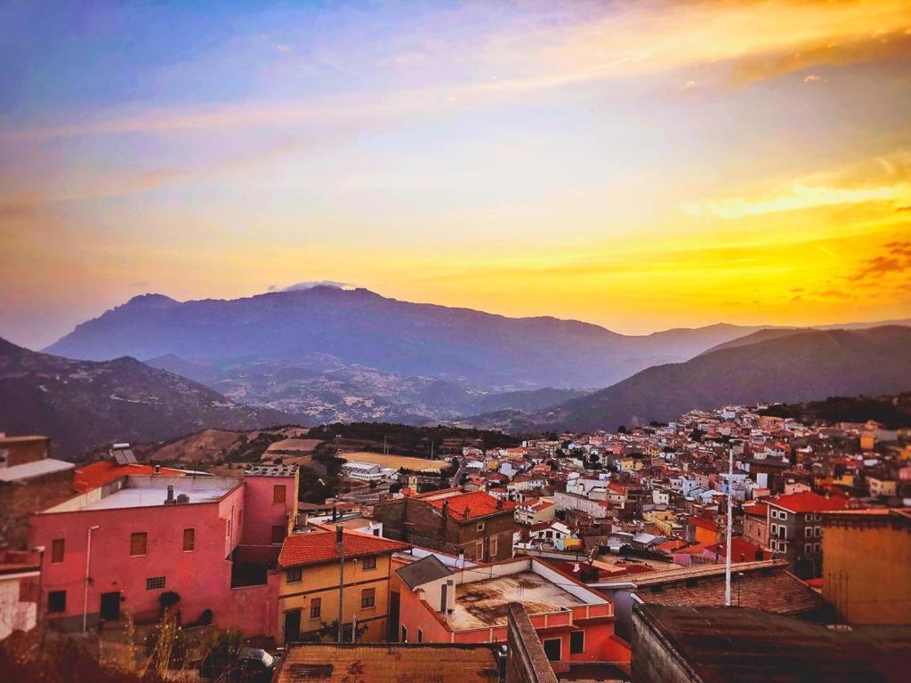 Orgosolo B&B Sardegna Εξωτερικό φωτογραφία