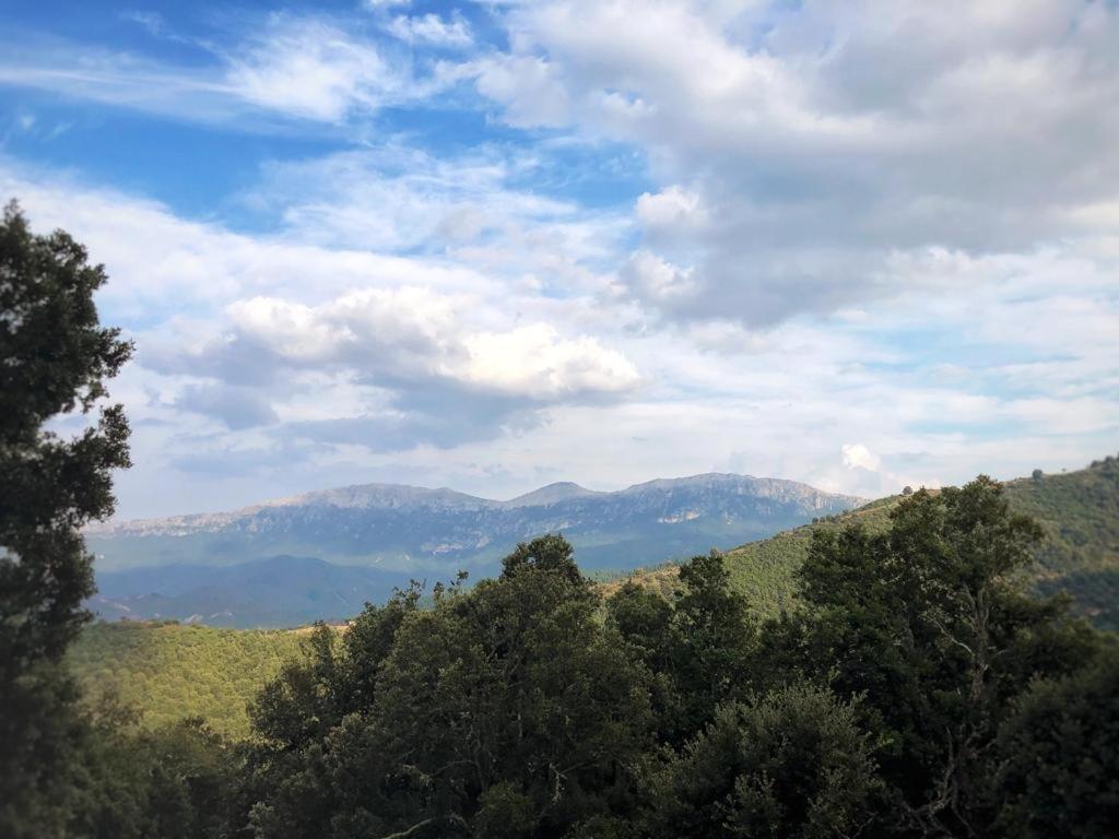 Orgosolo B&B Sardegna Εξωτερικό φωτογραφία